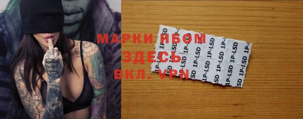 ПСИЛОЦИБИНОВЫЕ ГРИБЫ Арсеньев