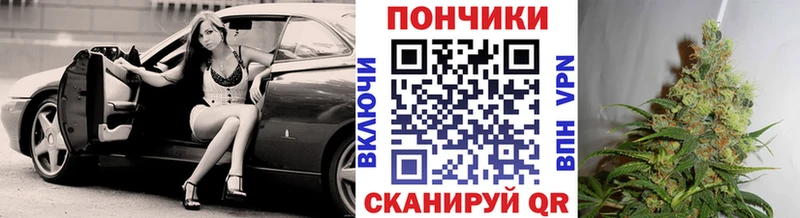Конопля OG Kush Приморск